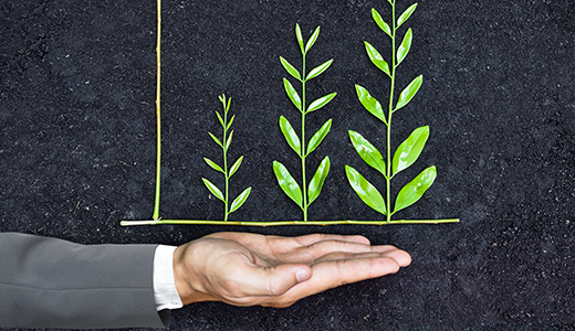 Sustainability
